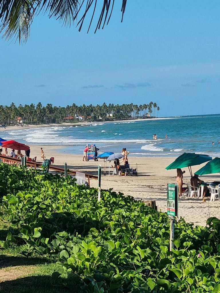 Marinas Prédio Beira Mar na Praia de Carneiros