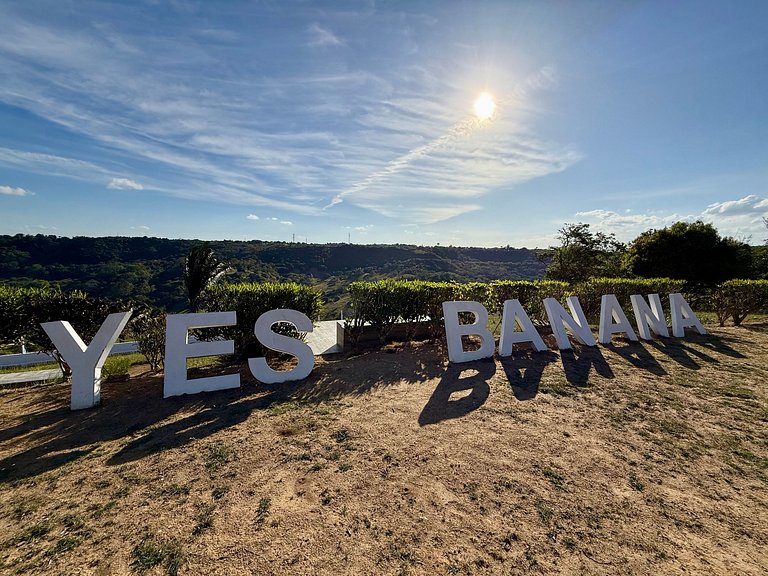 Yes Banana — Natureza e conforto.