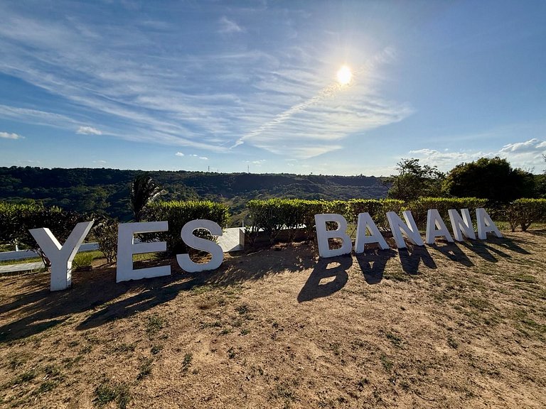 Yes Banana